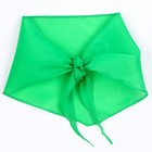 Галстук пионерский, 100% п/э, цвет зелёный, 120 × 26 см - фото 7142873