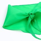 Галстук пионерский, 100% п/э, цвет зелёный, 120 × 26 см - фото 9119022
