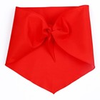 Галстук пионерский, 100% п/э, красный 120×35 см - Фото 3