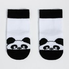 Носки детские «Панда», цвет белый, размер 7-8 - фото 10373504