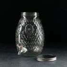 Лимонадник стеклянный «Сова», 4 л - фото 24550711