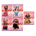 Тетрадь 12 листов клетка "Модные собачки", картонная обложка, 5 видов МИКС - Фото 1