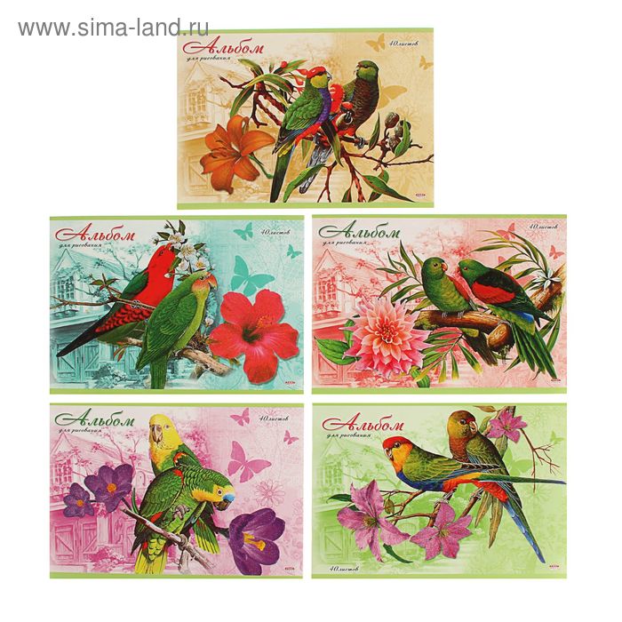 Альбом для рисования А4, 40 листов на скрепке "Любимые попугаи", обложка картон 240г/м2, глиттер, блок офсет 100г/м2, 4 вида МИКС - Фото 1