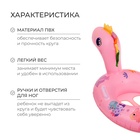 Плотик для плавания «Динозаврик», 75 х 50 см, цвет розовый 9378674 - фото 319795420