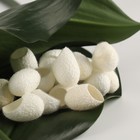 Набор спонжей для пилинга из тутового шелкопряда, 20 шт., белый - Фото 2