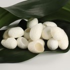 Набор спонжей для пилинга из тутового шелкопряда, 20 шт., белый - Фото 3