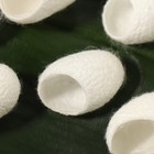 Набор спонжей для пилинга из тутового шелкопряда, 20 шт, цвет белый - Фото 6