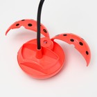 Настольная лампа «Жучок» LED 3 Вт USB АКБ МИКС 8.5×8.5×25.5 см RISALUX 9250708 - фото 10375479