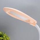 Настольная лампа «Лантрес» LED 3.5 Вт USB розовый 8.8×11×47 см RISALUX - Фото 9
