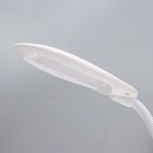 Настольная лампа «Лантрес» LED 3.5 Вт USB белый 8.8×11×47 см RISALUX - Фото 9