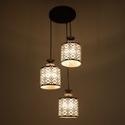 Светильник BayerLux "Алсер" 3хЕ27 40Вт чёрный 9343662 Светильник BayerLux "Алсер" 3хЕ27 40Вт чёрный 9343662