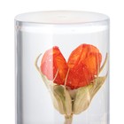 Бра "Маура" LED 10Вт МИКС 11х10х18 см - фото 39314774