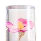 Бра "Маура" LED 10Вт МИКС 11х10х18 см - фото 39314775