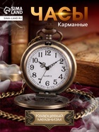 Часы карманные «Классика», кварцевые, цепочка l-40 см, d=4.5 см - Фото 1
