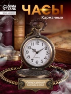 Часы карманные «Поезд», кварцевые, цепочка l-40 см, d=4.5 см - Фото 1