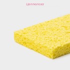 Губка для посуды целлюлозная Доляна, 10×1.5×7 см - Фото 2