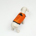Спасательный жилет "Акула" для собак 9-23 кг, размер M (ДС 30, ОГ 41-63, ОШ 40-48 см) - фото 9484073