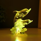 Ночник "Дельфины" LED от батареек LR1130 прозрачный 10,5х8х5см RISALUX - фото 22118117