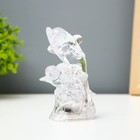 Ночник "Дельфины" LED от батареек LR1130 прозрачный 10,5х8х5см RISALUX - фото 22118118