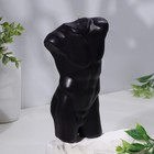 Свеча фигурная "Торс мужской", 6х17 см, черный, 6 ч - фото 10377257