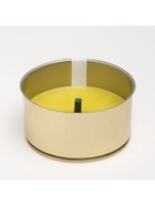 Ароматическая свеча уличная антимоскитная, 10×4.5 см, 120 г, 6 ч, цитронелла, жёлтый - Фото 4