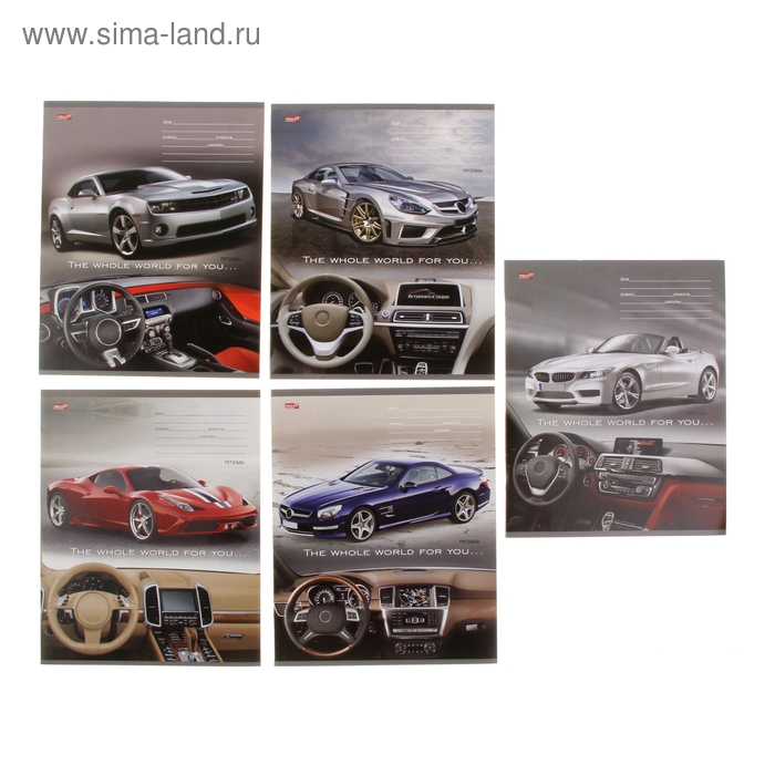 Тетрадь 18 листов клетка "Эксклюзивное авто", обложка картон хромэрзац, 5 видов МИКС - Фото 1