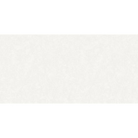 

Обои винил на флизелине Erismann 60398-02, Benefit Renaissance, 1.06x10.05м
