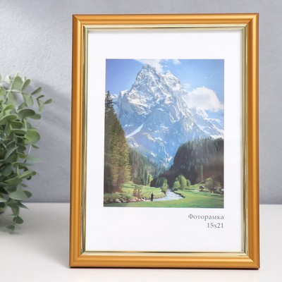 Фоторамка пластик "Гамма" 15х21 см, матовое золото (стекло)