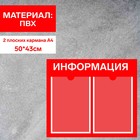 Информационный стенд «Информация» 2 плоских кармана А4, плёнка, цвет красный - фото 298727545