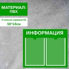 Информационный стенд «Информация» 2 плоских кармана А4, плёнка, цвет зелёный - фото 298727549