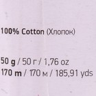 Пряжа "Ideal" 100% хлопок 170м/50гр (220 ультрабелый) - фото 43739935