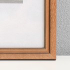 Фоторамка дерево "Image Art" С15 21х30 см,(пластиковый экран), светло-коричневый с золотой п - фото 22121267 Фоторамка дерево "Image Art" С15 21х30 см,(пластиковый экран), светло-коричневый с золотой п - фото 22121267