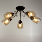 Люстра Светогор "Вид" 5х60Вт Е27 черный - фото 37215703