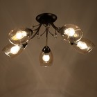 Люстра Светогор "Вид" 5х60Вт Е27 черный - фото 37215704