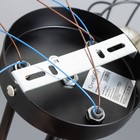 Люстра Светогор "Лайт" 3х60Вт черный 62х62х28см - фото 49197068