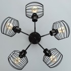 Люстра Светогор «Лайт» 5×60 Вт черный 62×62×28 см - фото 49609351