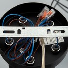 Люстра Светогор «Лайт» 5×60 Вт черный 62×62×28 см - фото 49609355