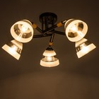 Люстра Светогор «Стар» 5×60 Вт Е27 черный 53×53×26 см - фото 53944657