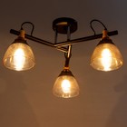 Люстра Светогор "Вечер" 3х60Вт Е27 черный 57х57х28см - фото 37215711