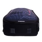 Рюкзак каркасный школьный 38 х 30 х 16 см, эргономичная спинка, Stavia "Паук 2" - фото 45715772