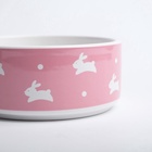 Миска «Зайчики», 300 мл, 13×13×5 см, керамика, розовая - Фото 6