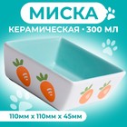 Миска керамическая квадратная "Морковки" 300 мл, 11 x 4,5 cм, зелёная - фото 321537288