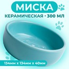 Миска керамическая "Meow" 300 мл, 13,4 x 4 cм, голубая 9214847 - фото 579988