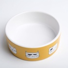 Миска «Опасные коты», 230 мл, 12.5×4.5 cм, керамика, белая, оранжевая - Фото 4