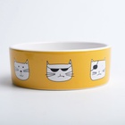 Миска «Опасные коты», 230 мл, 12.5×4.5 cм, керамика, белая, оранжевая - Фото 3