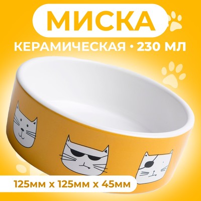 Миска керамическая "Опасные коты" 230 мл  12,5 x 4,5 cм, бело-оранжевая