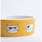 Миска «Опасные коты», 230 мл, 12.5×4.5 cм, керамика, белая, оранжевая - Фото 5