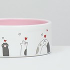 Миска керамическая "Любовь и коты"300 мл  12,5 x 4,5 cм, розово-белая - Фото 5