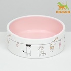 Миска «Весёлые котики», 300 мл 12.5×4.5 см, керамика, бежевая, белая - Фото 2