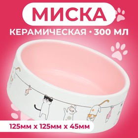 Миска керамическая "Весёлые котики"  300 мл  12,5 x 4,5 cм, бежево-белая 9214853